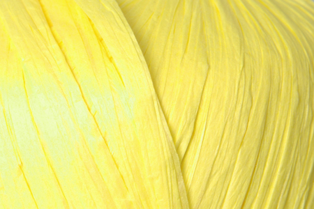 Пряжа Fibra natura RAFFIA (Цвет: 116-18 желтый)