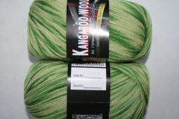 Пряжа Color City KANGAROO WOOL MELANGE (Цвет: 938 молочно-салатовый)